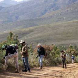 Corridor BioBlitzes